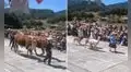 Desfile con animales en Cajamarca causa furor en redes sociales: "¡Viva el Perú!"