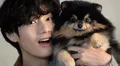 BTS: el tierno homenaje de Taehyung a su perrito en 'Layover': ¿cuándo se estrena su disco solista?