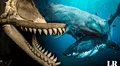 El megalodón tuvo un rival en el mar peruano: así era Livyatan, la megaballena asesina