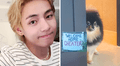 Taehyung de BTS revela que el perro en su MV 'Rainy Days' no era Yeontan y rompe corazones