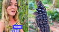 ¿El maíz morado puede cultivarse en España? Influencer lo prueba y este fue el resultado