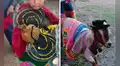 Escolares de Ayacucho sorprenden con divertidos disfraces para sus mascotas: "Qué hermosos"
