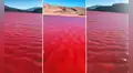 Río Nilo amaneció de color carmesí y causó desconcierto en redes: ¿profecía bíblica?