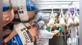 Cena navideña 2023: ¿cuál es el precio del pavo y del lechón en mercados de Lima?