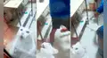 Gatito siente temor de una enorme rata y ‘pide’ ayuda para que lo rescaten