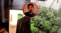 Ventanilla: sujeto usaba puerta de refrigeradora como ingreso a laboratorio clandestino de marihuana