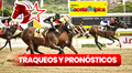 Traqueos y pronósticos 5y6 La Rinconada, domingo 3 de marzo: datos superfijos de Gaceta Hípica y Fusión Hípica