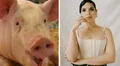 América ferrera de cuidadora de cerdo a nominada a los Oscar 2024 por su monólogo feminista en 'Barbie'