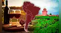 El viñedo más antiguo de Sudamérica no está en Chile ni en Argentina: fue creado hace más de 480 años