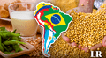 El mayor productor de soya en el mundo está en Sudamérica: posee el 56% de la oferta global