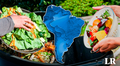 El pequeño país de Sudamérica que desperdicia más alimentos en la región con 96 kg al año: no es Brasil