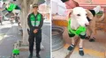 Sultán, el perrito que dejó de ser un ‘vaguito’ para convertirse en miembro de la PNP de Catacaos