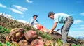 FOGASA: Fondo del Seguro Agrario incluirá a productores forestales