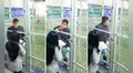 Peruana da de comer a su pareja mientras él jugaba fútbol con sus amigos