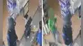 Hombre frustra robo en bodega tras aplicar una llave de lucha libre al ladrón: “¡Héroe sin capa!”