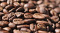 Picos históricos del cacao y café globales impulsaron 16% las exportaciones amazónicas del Perú