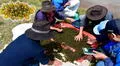 Descubre el 'caviar andino', el milenario alimento consumido por los incas para combatir la anemia