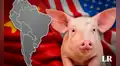 El país de Sudamérica que produce más carne de cerdo y la exporta principalmente a Estados Unidos y China