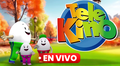 Telekino 2329 EN VIVO: resultados del sorteo y Rekino HOY, domingo 23 de junio