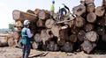 Economías basadas en la minería y tala ilegales ganan terreno en Perú, Brasil y Venezuela