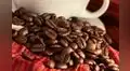 Cafetaleros peruanos cierran acuerdos por US$5 millones hacia principales mercados globales