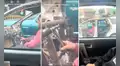 Hombre sorprende al conducir un auto destartalado y usuarios bromean: “Seguro viene de su revisión técnica”