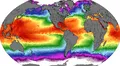 Las temperaturas de los océanos preocupan al mundo, pero julio 2024 marca un día sin récord tras más de un año