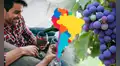 El país de América Latina con el mayor consumo de vino en toda la región: supera a Brasil y Uruguay