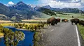 Este parque en Estados Unidos fue declarado Patrimonio de la Humanidad: es considerado parque nacional del planeta