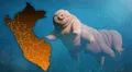 Este increíble animal superó a las cucarachas como el más indestructible de la Tierra: habita en Perú y no come ni bebe por 30 años