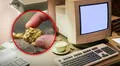 ¿Tienes una computadora vieja? Procesadores podrían contener oro de 22 kilates en sus circuitos, afirman investigadores