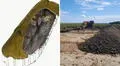Impactante hallazgo en Dinamarca: descubren sótano pavimentado de 5.000 años que revela secretos prehistóricos