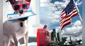 ¿Quieres viajar a Estados Unidos con tu mascota? Estos son los requisitos para entrar a USA