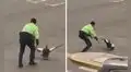 Policías detienen tránsito para rescatar un pato en San Miguel y usuarios en reaccionan: "Ni eso atrapan"