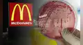 Estados Unidos investiga brote de E. coli en hamburguesas de McDonald's: 1 muerto y 49 casos reportados