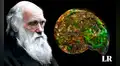 La evolución no sería exclusiva de los seres vivos: nuevas teorías desafían la ciencia moderna