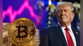 Bitcoin alcanza nuevo récord tras victoria de Trump: ¿qué impulsa el precio de la criptomoneda en 2024?
