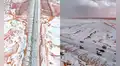 Desierto de Arabia Saudita se cubre de nieve por primera vez en la historia: es un fenómeno excepcional