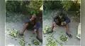 Hombre es sorprendido robando limones de un huerto y lo obligan a comérselos todos