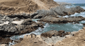 ¿Conoces Playa Tanaka? Descubre sus 5 piscinas naturales de aguas cristalinas en Arequipa
