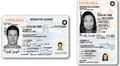 Real ID Indiana: conoce los requisitos para tramitar tu licencia de conducir en Estados Unidos