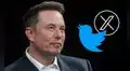 Elon Musk y el drástico cambio en Twitter: 80% de la plantilla despedida tras compra por 41.800 millones de euros