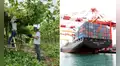 Los 2 productos que lideran las agroexportaciones peruanas: se envían a estos países de Sudamérica y a una potencia mundial