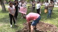 Vecinos de Santa Anita denuncian que 20 perros fallecieron por envenenamiento en parque