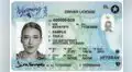 Licencia de conducir para inmigrantes en Luisiana: 3 únicos requisitos para obtener la Real ID en USA este 2025