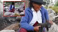 Pareja de ancianos en Ayacucho lo perdieron todo por el trágico impacto de un rayo: mató a sus 50 ovejas