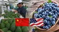 Perú conquista mercados de EE. UU. y China como principales compradores de arándanos y paltas: ¿a qué otros importantes países exporta?
