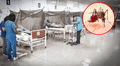 Essalud detecta 400 nuevos casos de dengue semanales en Perú: Ate y SJL entre los distritos más afectados