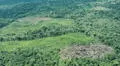 Líderes indígenas exigen al Mincul creación de la Reserva Yavarí Mirim