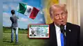 Green Card rápida para mexicanos en Estados Unidos 2025: la propuesta del Gobierno de Trump que ilusiona a los estudiantes